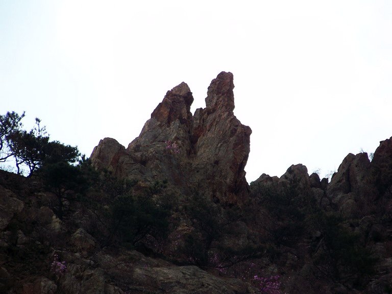 100_2148_缩小大小.JPG