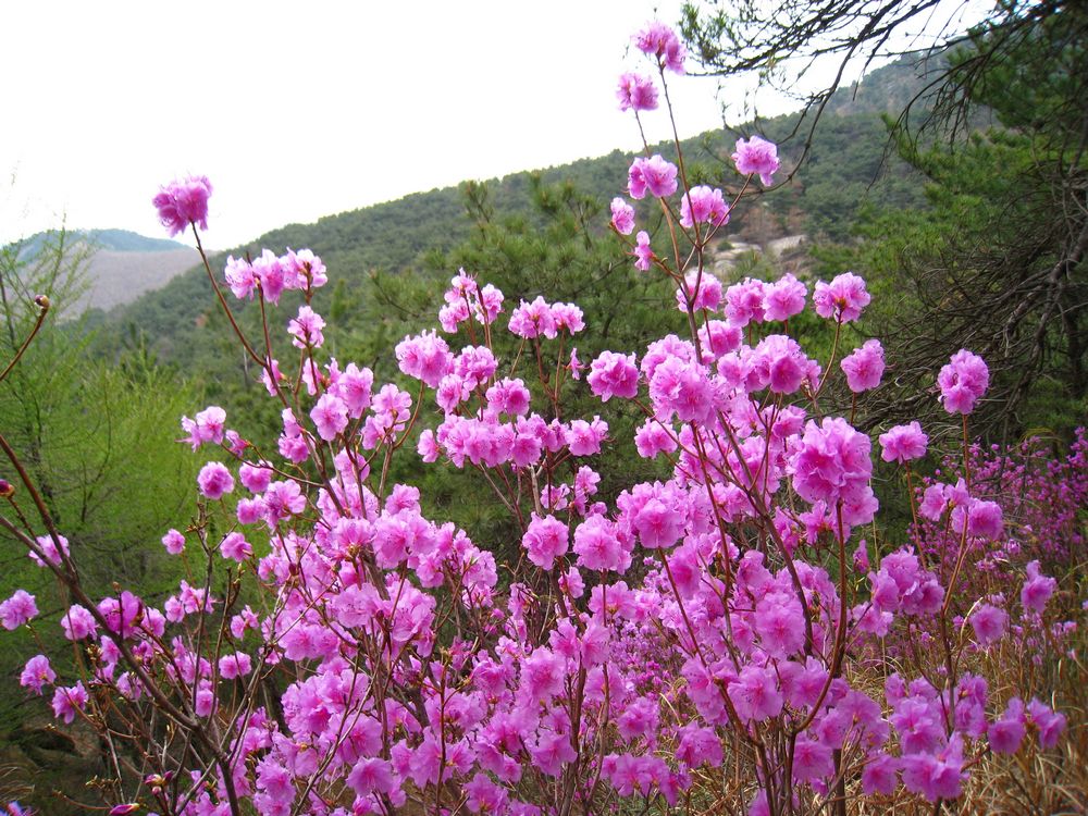 照片 180.jpg