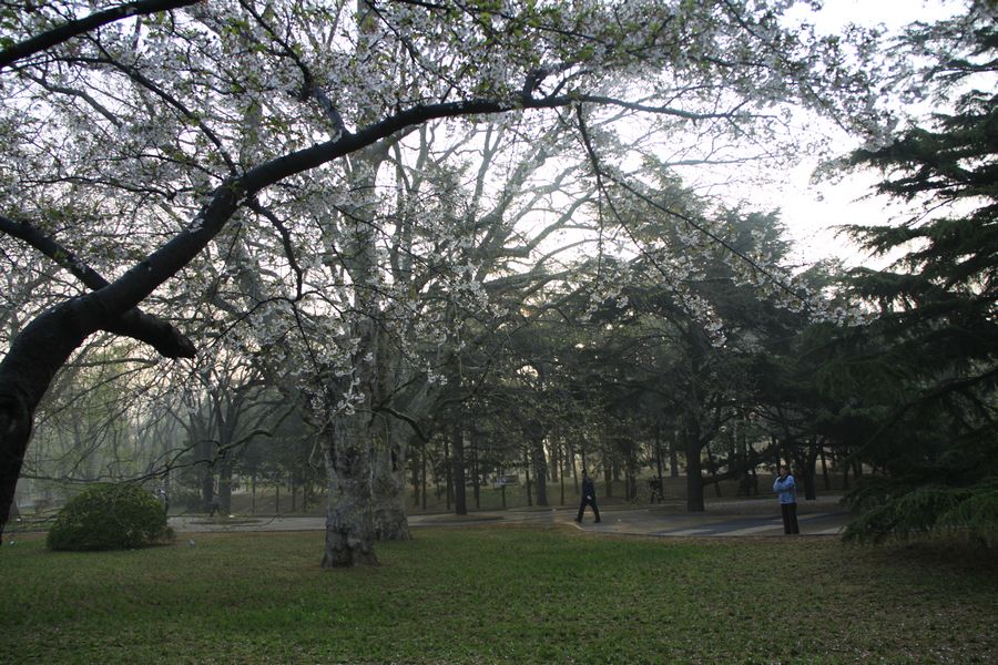 _MG_7317.jpg