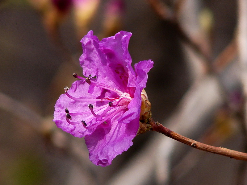 DSC08301.jpg