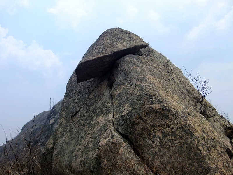 DSCF1447.jpg