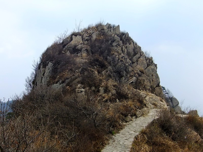 DSCF1444.jpg