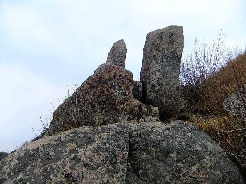 DSCF1441.jpg