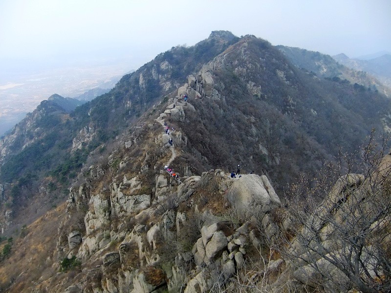DSCF1465.jpg