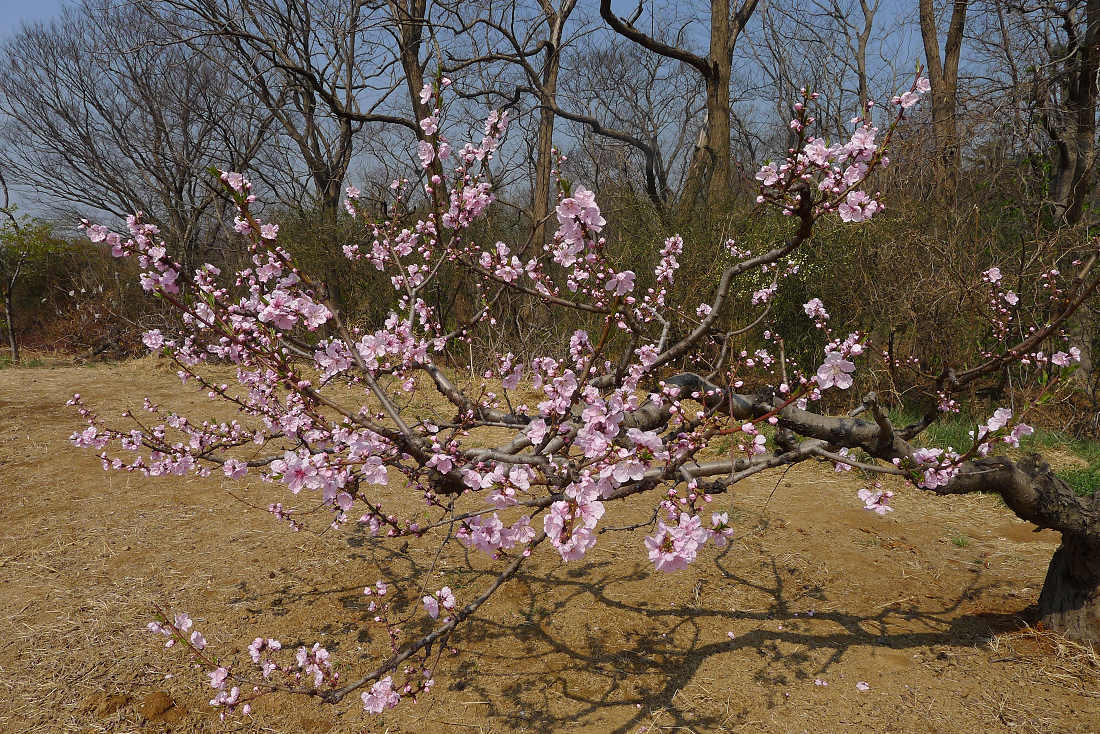 P1030330.JPG