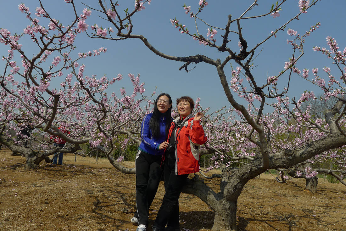P1030336.JPG
