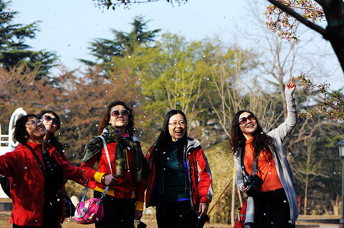 nEO_IMG_樱花 237a.jpg