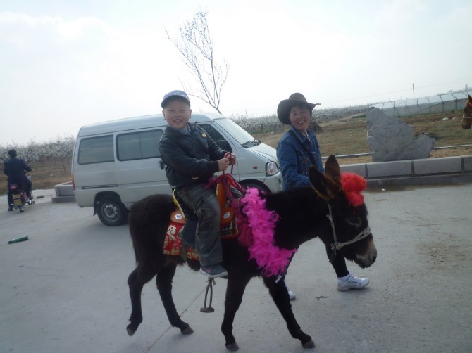 未命名11.jpg