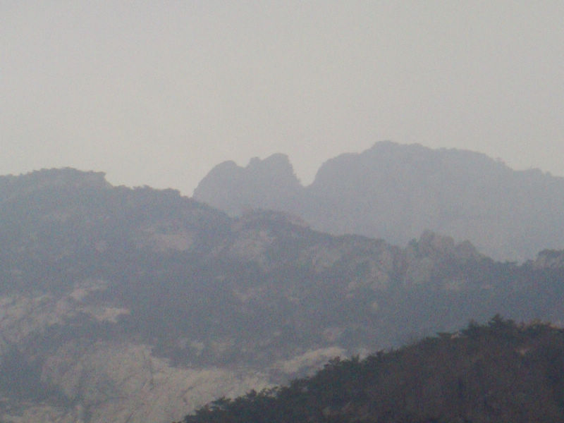 DSC02018.JPG
