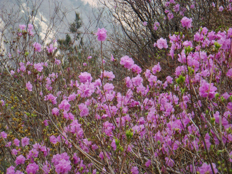 DSC02096.JPG