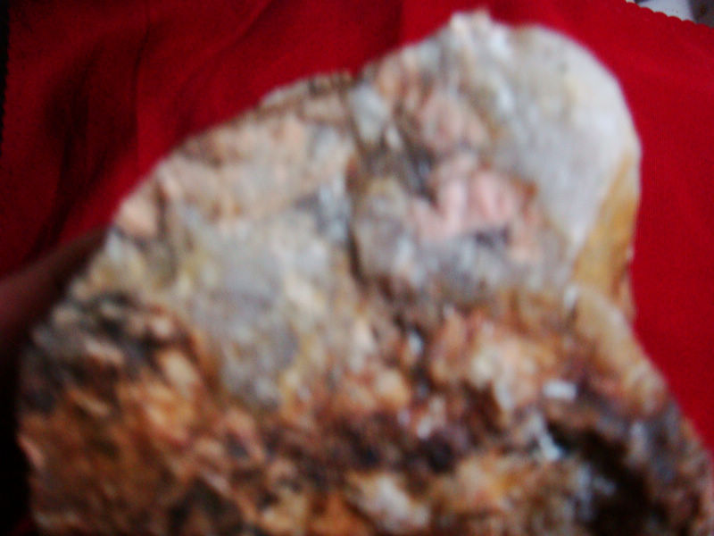 DSC02287.JPG
