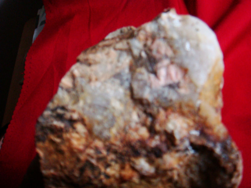 DSC02288.JPG
