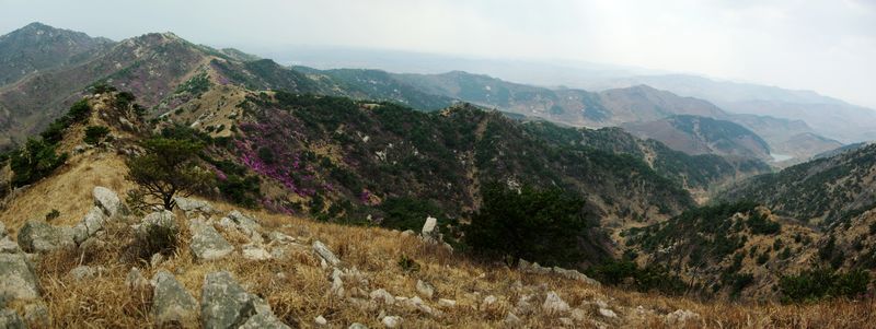 全景图 5.jpg