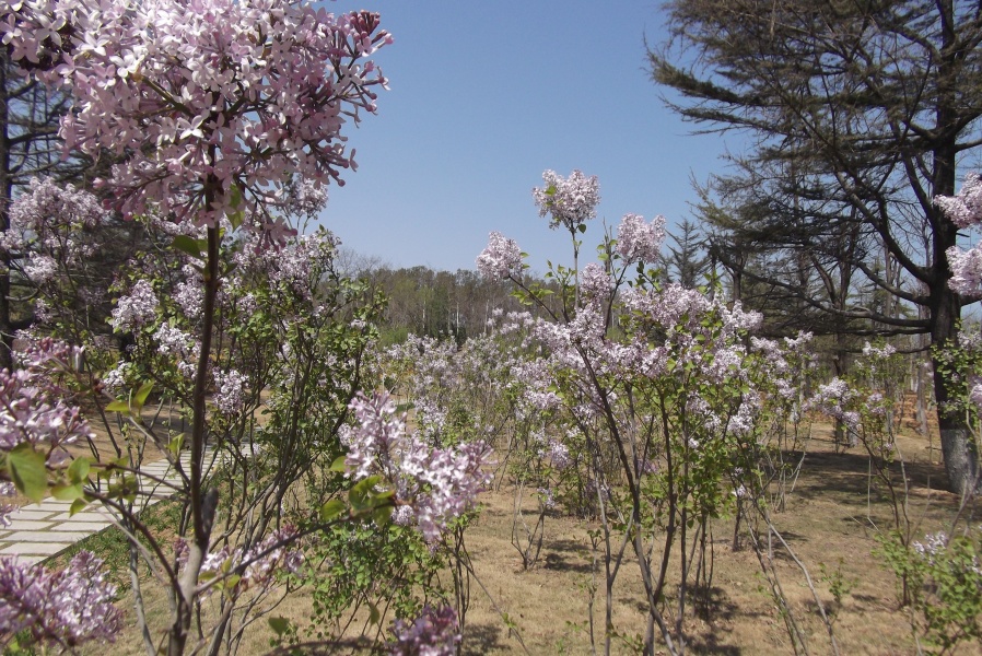 DSCF2156.JPG