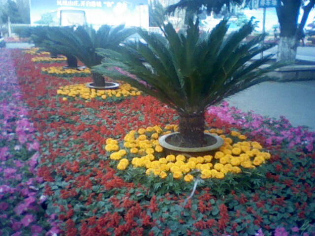 IMG0433A.jpg