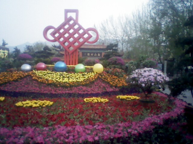 IMG0434A.jpg