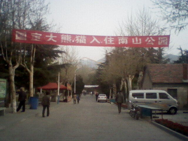 IMG0437A.jpg