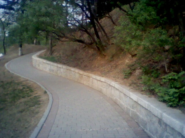 IMG0440A.jpg