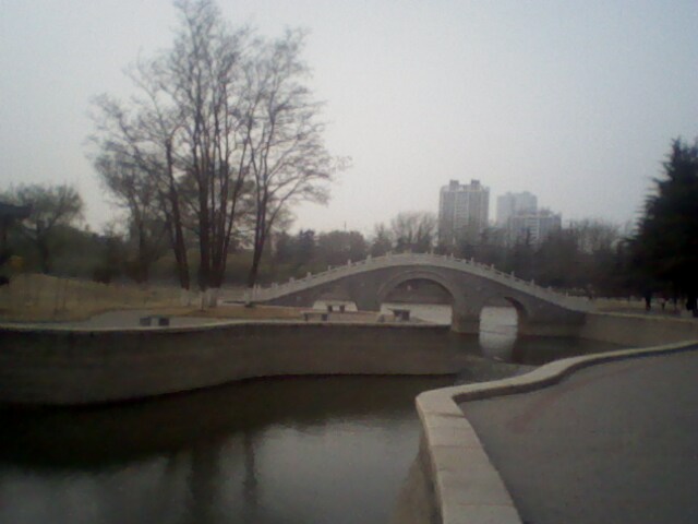IMG0444A.jpg