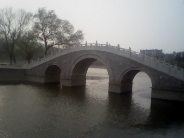 IMG0445A.jpg