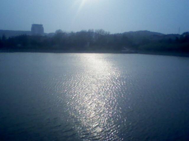 IMG0446A.jpg