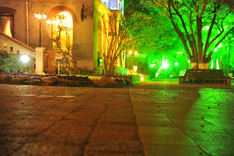 001_2412.JPG