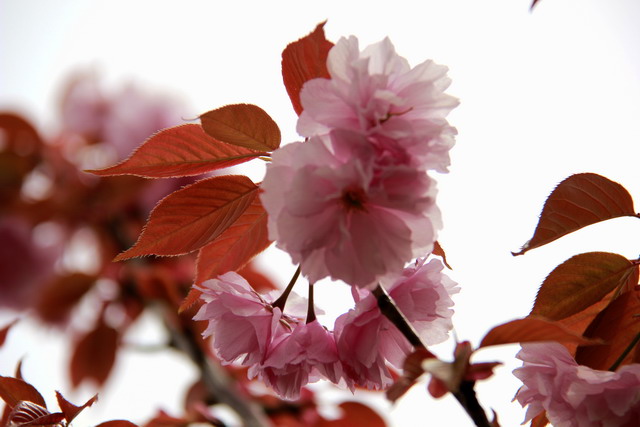 五一节大南山徒步 023.jpg-02.jpg
