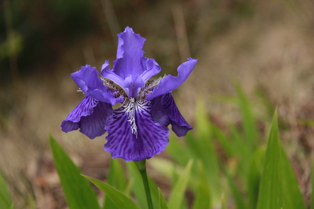 五一节大南山徒步 012.jpg-02.jpg