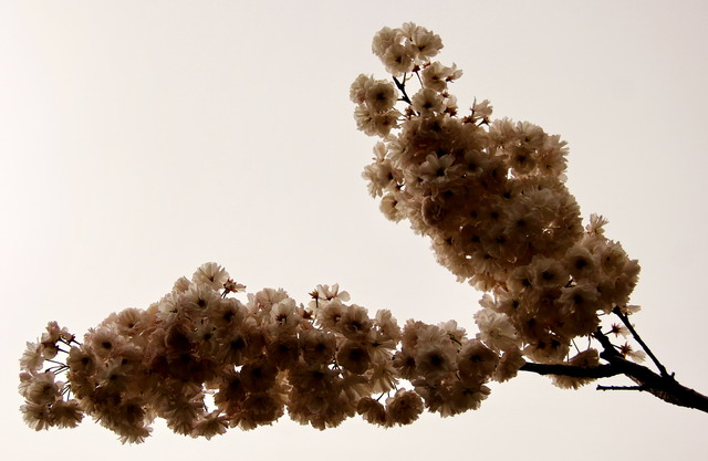 五一节大南山徒步 045.jpg-02.jpg