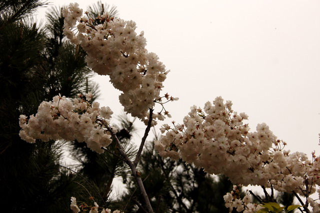五一节大南山徒步 040.jpg-02.jpg