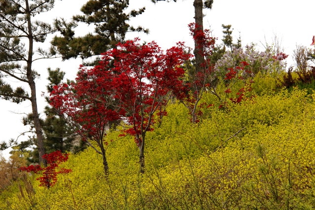 五一节大南山徒步 053.jpg-02.jpg