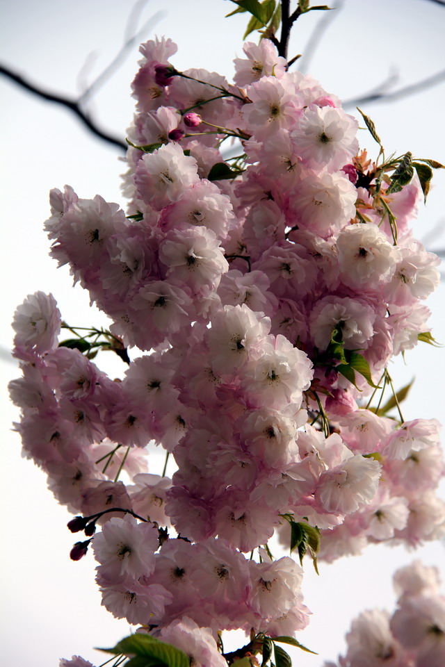 五一节大南山徒步 087.jpg-022.jpg