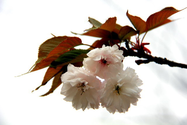 五一节大南山徒步 189.jpg-02.jpg