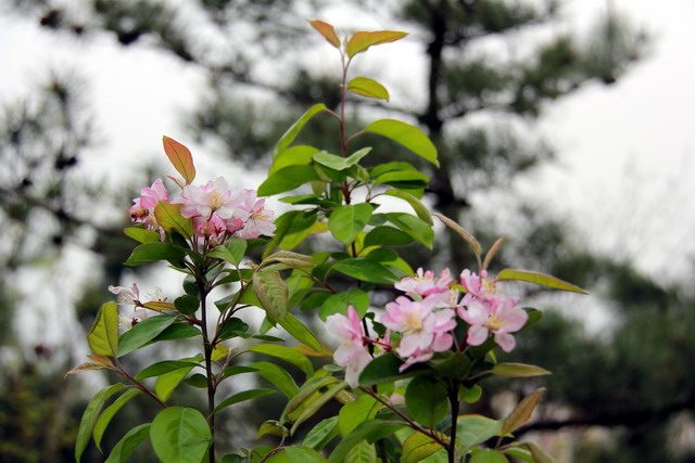 五一节大南山徒步 186.jpg-02.jpg