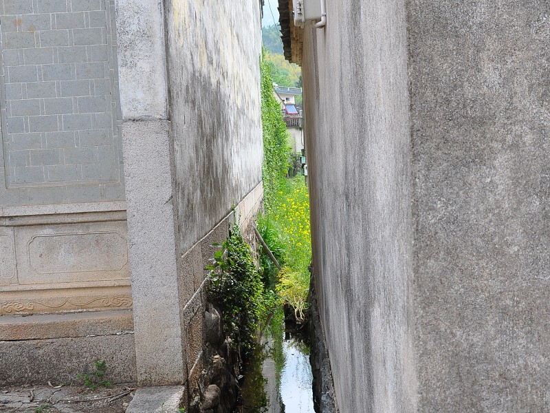 PhotoCap_035.jpg