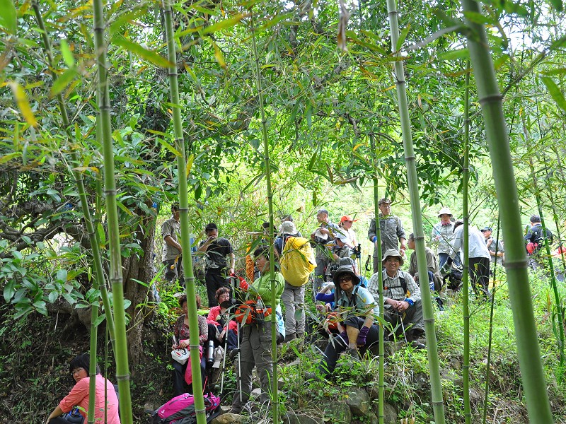 PhotoCap_063.jpg