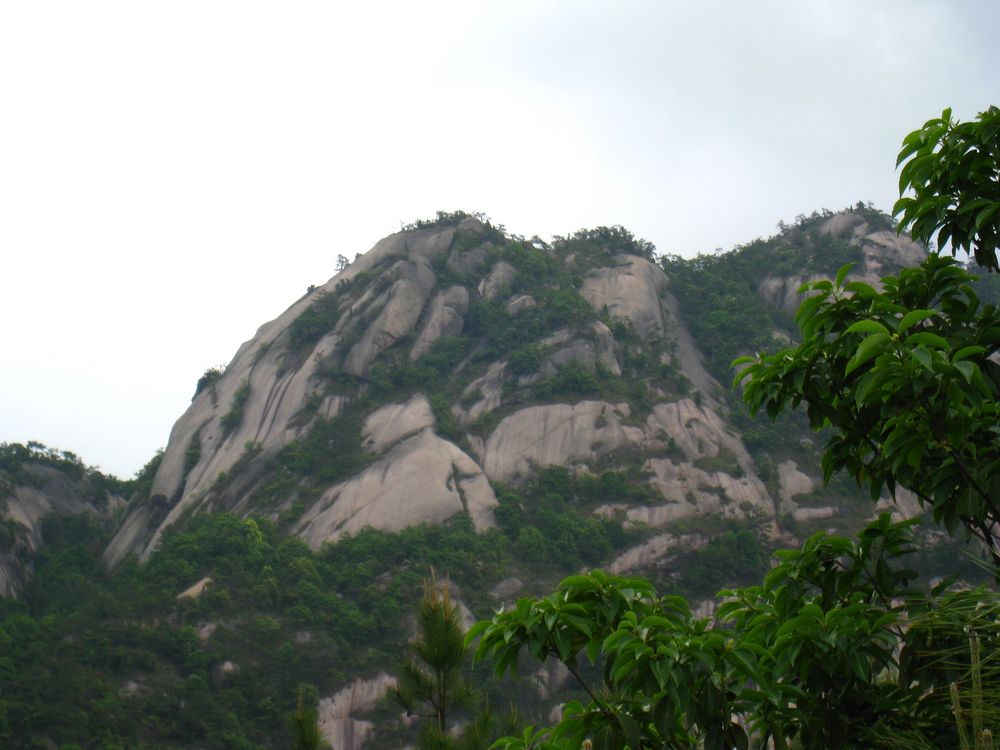 照片 065.jpg