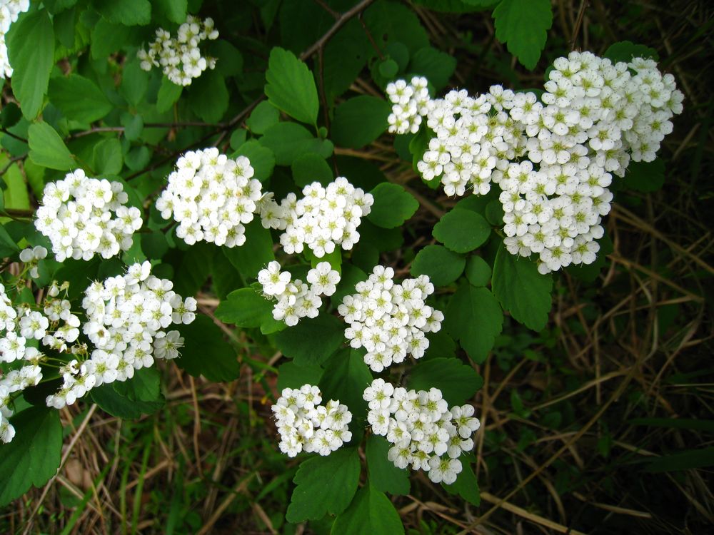 照片 228.jpg