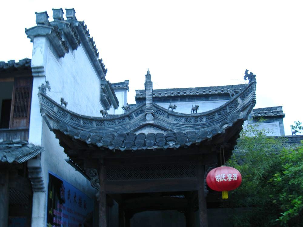照片 242.jpg