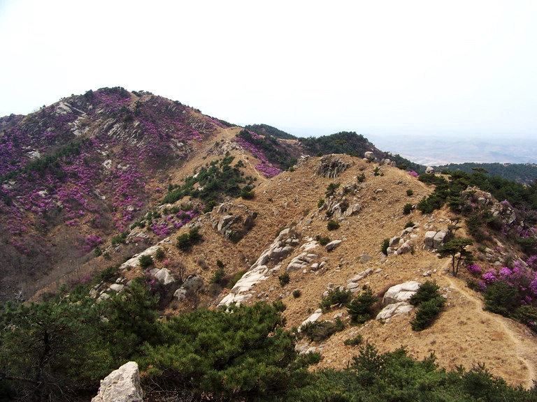 100_2335_缩小大小.JPG
