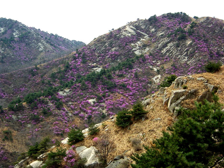 100_2333_缩小大小.JPG