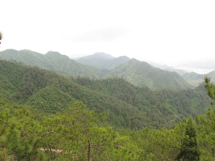 nEO_IMG_徽杭古道 153.jpg