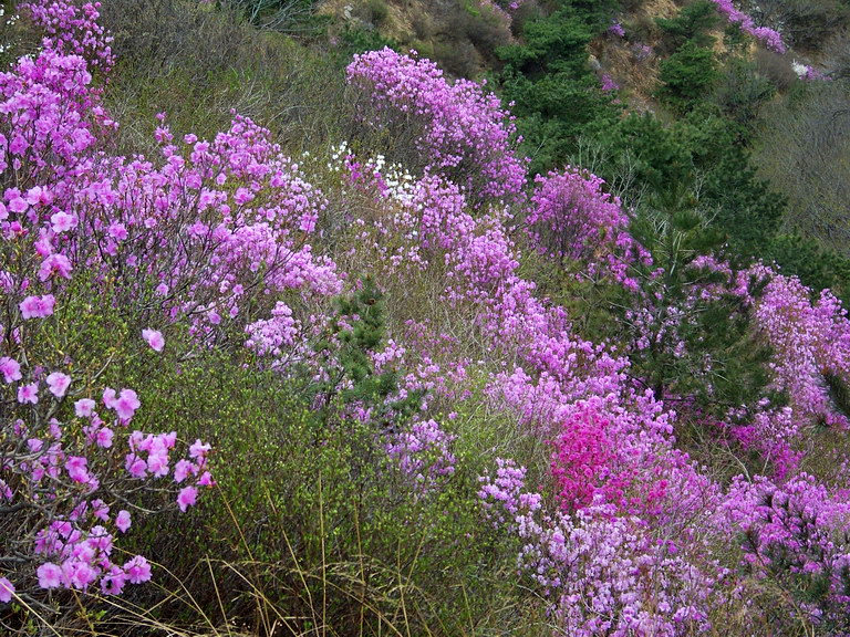 100_2352_缩小大小.JPG