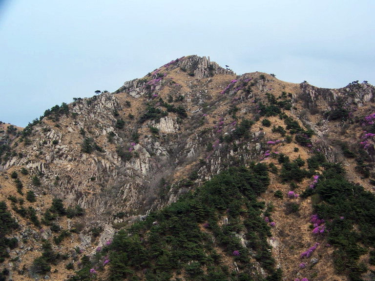 100_2402_缩小大小.jpg