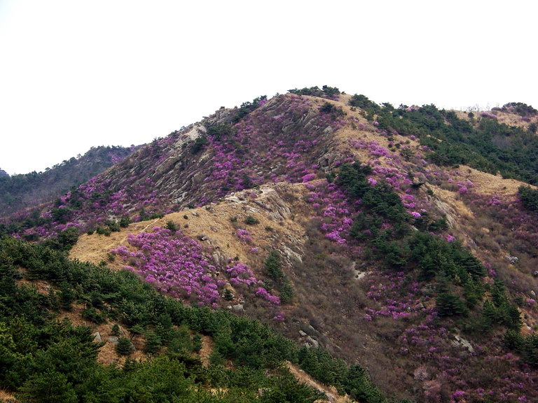 100_2400_缩小大小.JPG