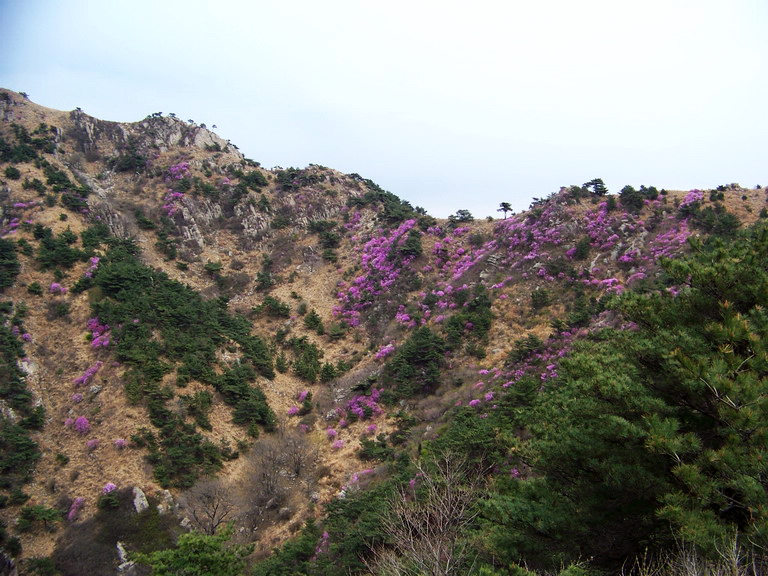 100_2403_缩小大小.JPG