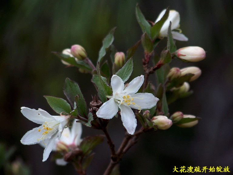 100_2420_缩小大小.JPG