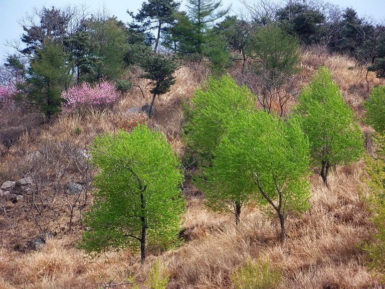 100_2434_缩小大小.JPG