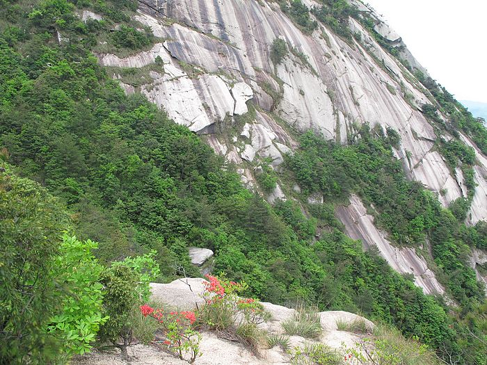 nEO_IMG_徽杭古道 221.jpg