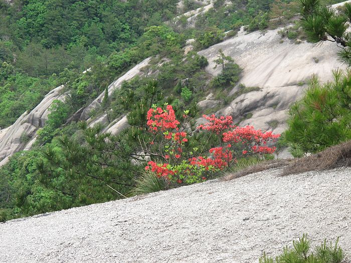 nEO_IMG_徽杭古道 238.jpg